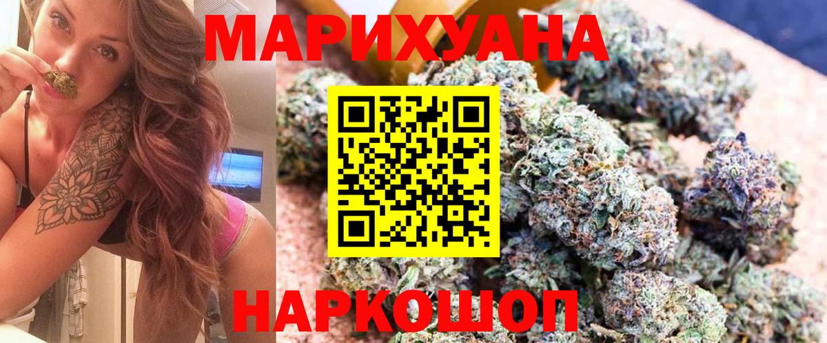 Каннабис сатива Гай